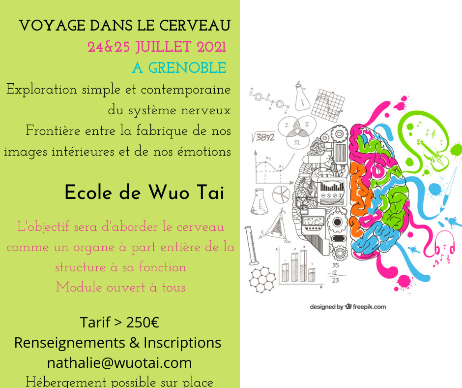 Voyage dans le Cerveau